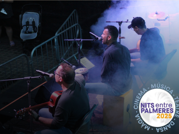 Nits entre Palmeres: VOVO Music