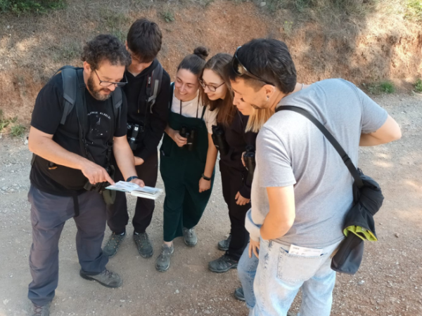 Sortida guiada: Rapinyaires nocturns, els senyors de la nit