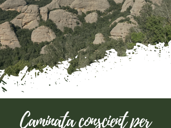 Caminata conscient a Montserrat i dinar