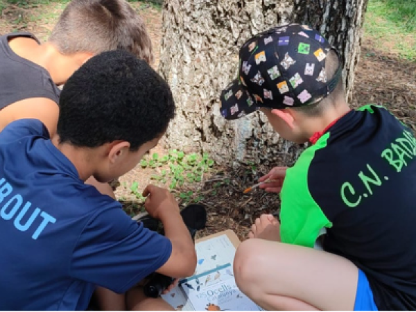 Jugateca del Parc Nou: 9è Bioblitz Metropolità. Ciència ciutadana