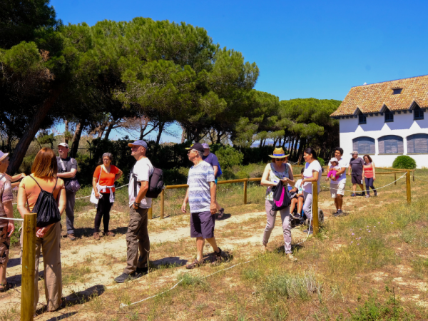 Itinerari Vivencial de la Pineda del Remolar