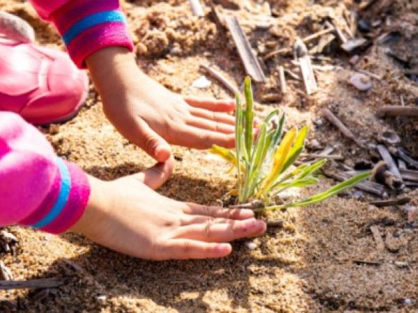 Jugateques ambientals al Prat de Llobregat