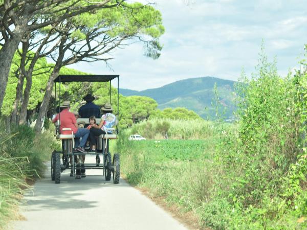 Passeig en carruatge i taller d'eines agrícoles tradicionals al Parc Agrari