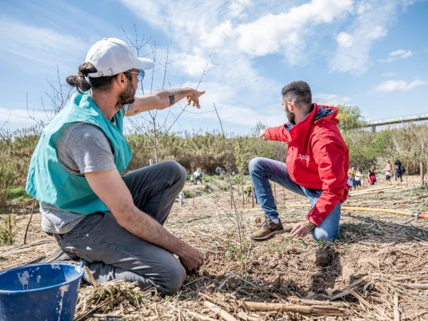 Plantació de 150 arbres amb Splau a la Festa del Riu de Cornellà