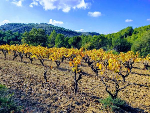 Parc del Garraf