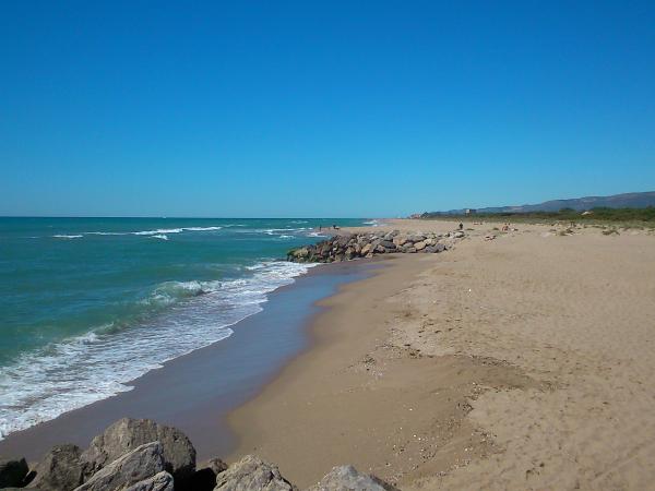 Platja de la Pineda de Cal Francès - Viladecans.JPG