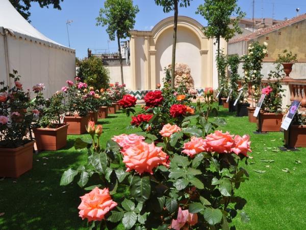 Exposició Nacional de Roses
