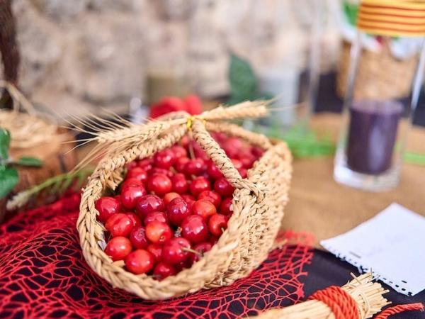 Festa de la Cirera del Papiol