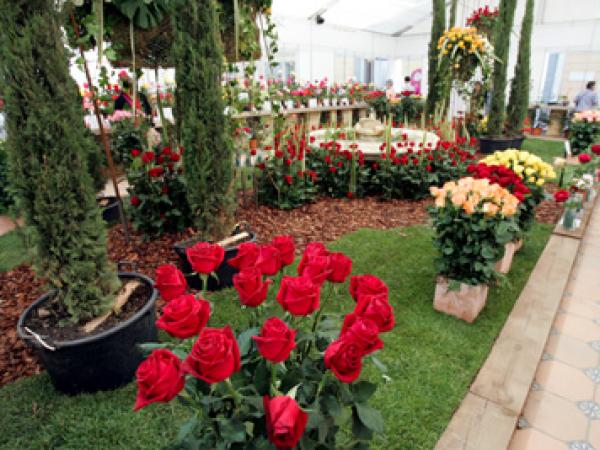 Exposició Nacional de Roses