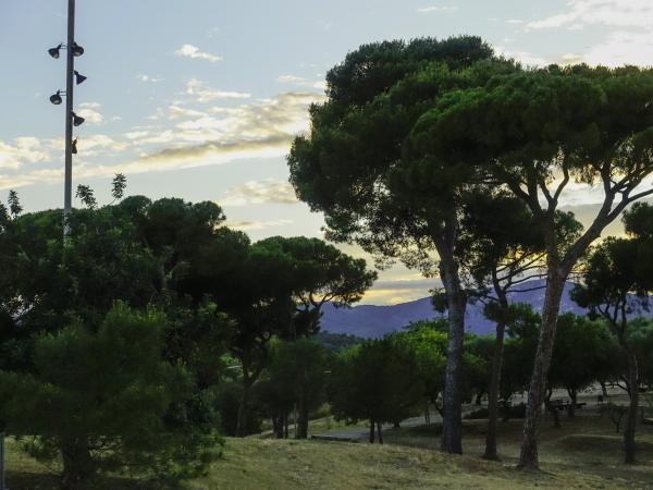 Parc del Calamot