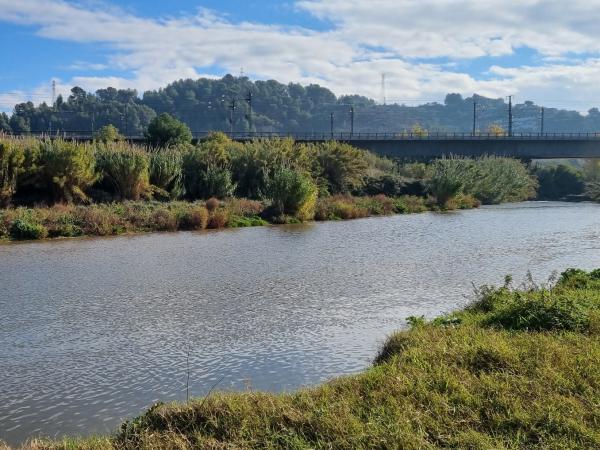 Parque Fluvial del Llobregat. Pallejà