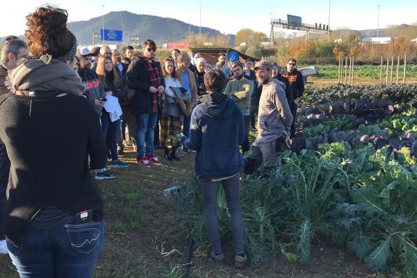 visita camps lluis fisas índex.jpg