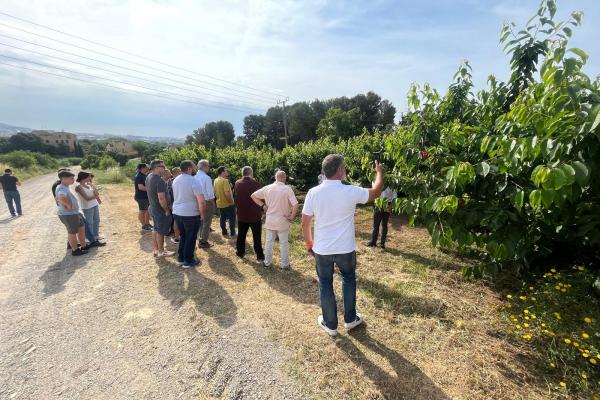   Neix Fruita Baix, una campanya que connecta el territori amb la taula a través de visites a pagès i còctels de fruita als restaurants Sabors de l’Horta