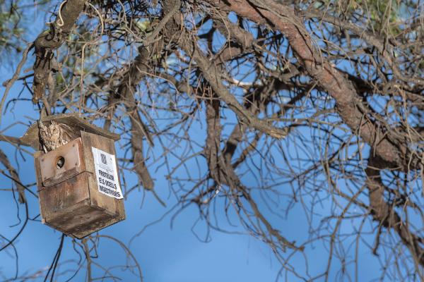 Nova edició de Sostibaix amb una quinzena plena d'activitats sostenibles al Baix Llobregat