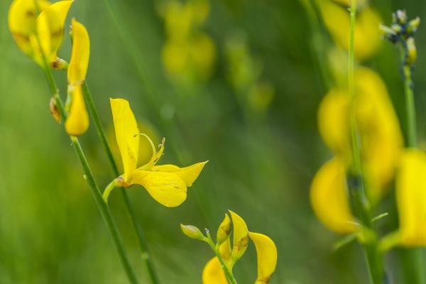 Nova edició de Sostibaix amb una quinzena plena d'activitats sostenibles al Baix Llobregat