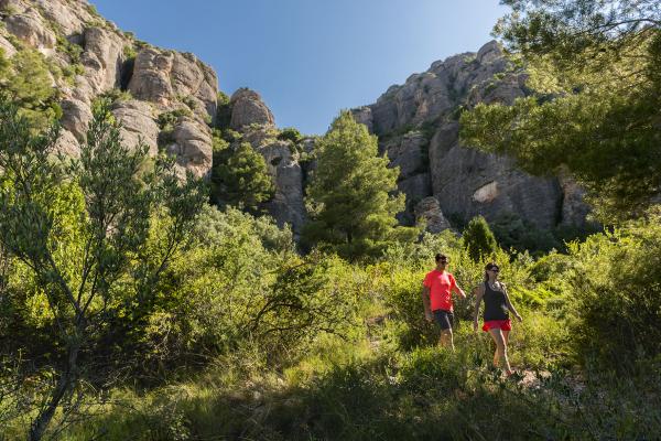 Nova edició de Sostibaix amb una quinzena plena d'activitats sostenibles al Baix Llobregat