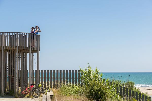 El Baix Llobregat impulsa el Turisme Blau amb una campanya per fomentar el turisme sostenible a la zona de la Costa del Delta