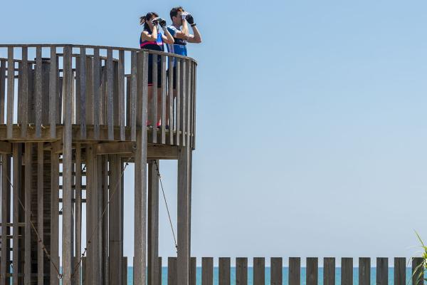 El Baix Llobregat impulsa el Turisme Blau amb una campanya per fomentar el turisme sostenible a la zona de la Costa del Delta
