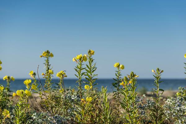 El Baix Llobregat impulsa el Turisme Blau amb una campanya per fomentar el turisme sostenible a la zona de la Costa del Delta