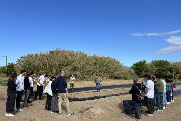 Jornada de treball del col·lectiu gastronòmic Sabors de l'Horta 