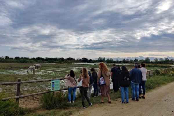 Els Punts d'Informació del Baix Llobregat visiten el celler Ca n'Estella i els Espais Naturals del Delta del Llobregat