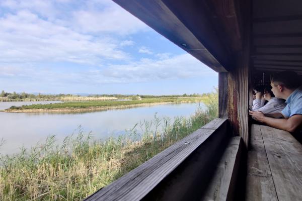 Els Punts d'Informació del Baix Llobregat visiten el celler Ca n'Estella i els Espais Naturals del Delta del Llobregat