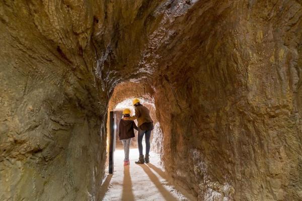 Hola Barcelona de TMB promou la natura i modernisme al Baix Llobregat