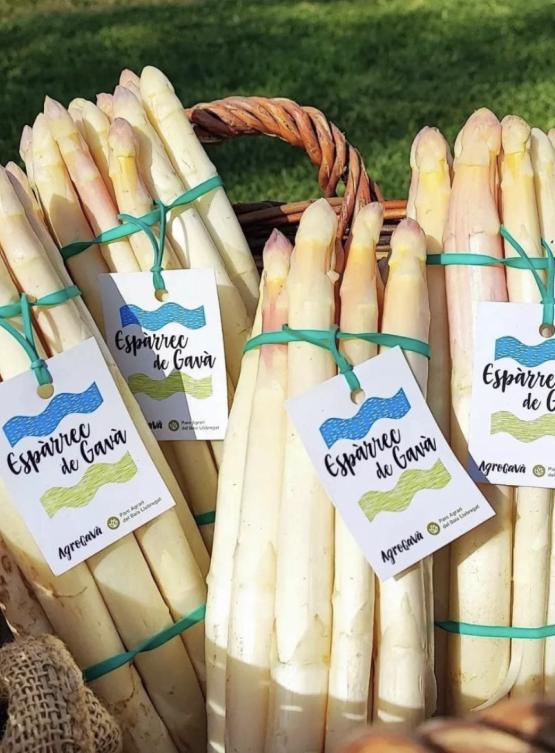 Fira Espàrrecs i GastroGavà