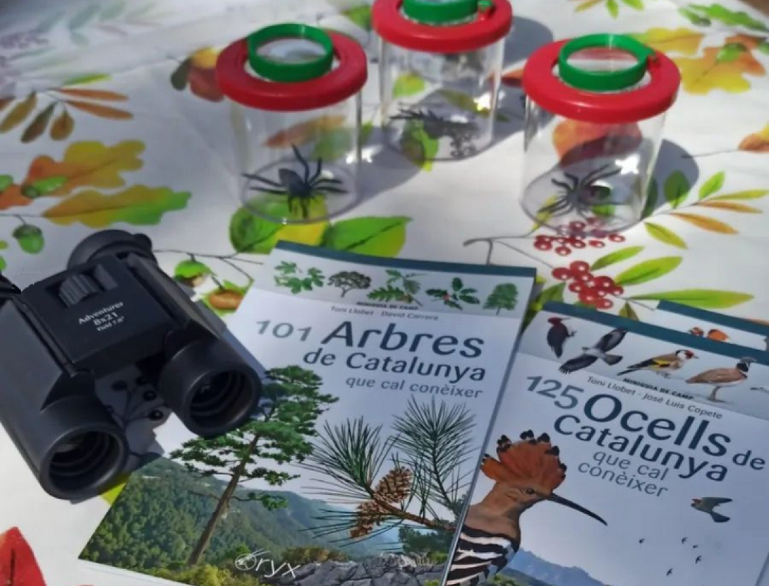 Visitem la Jugatecambiental