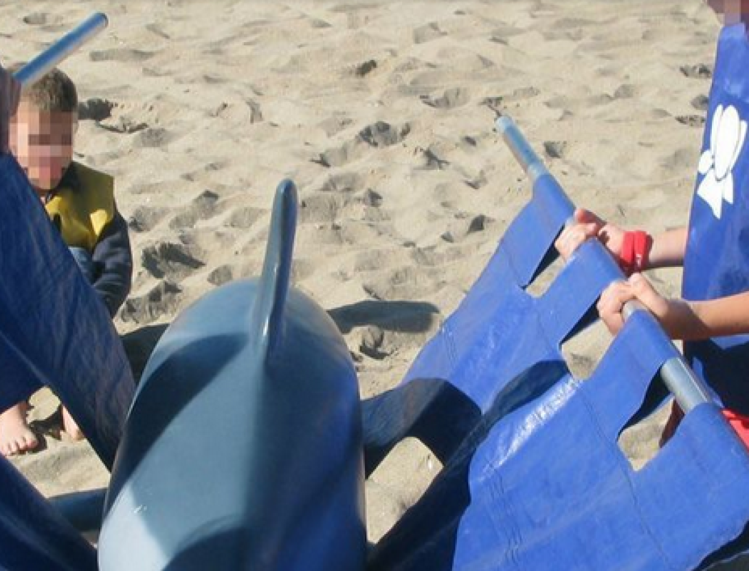 Un dofí a la platja!