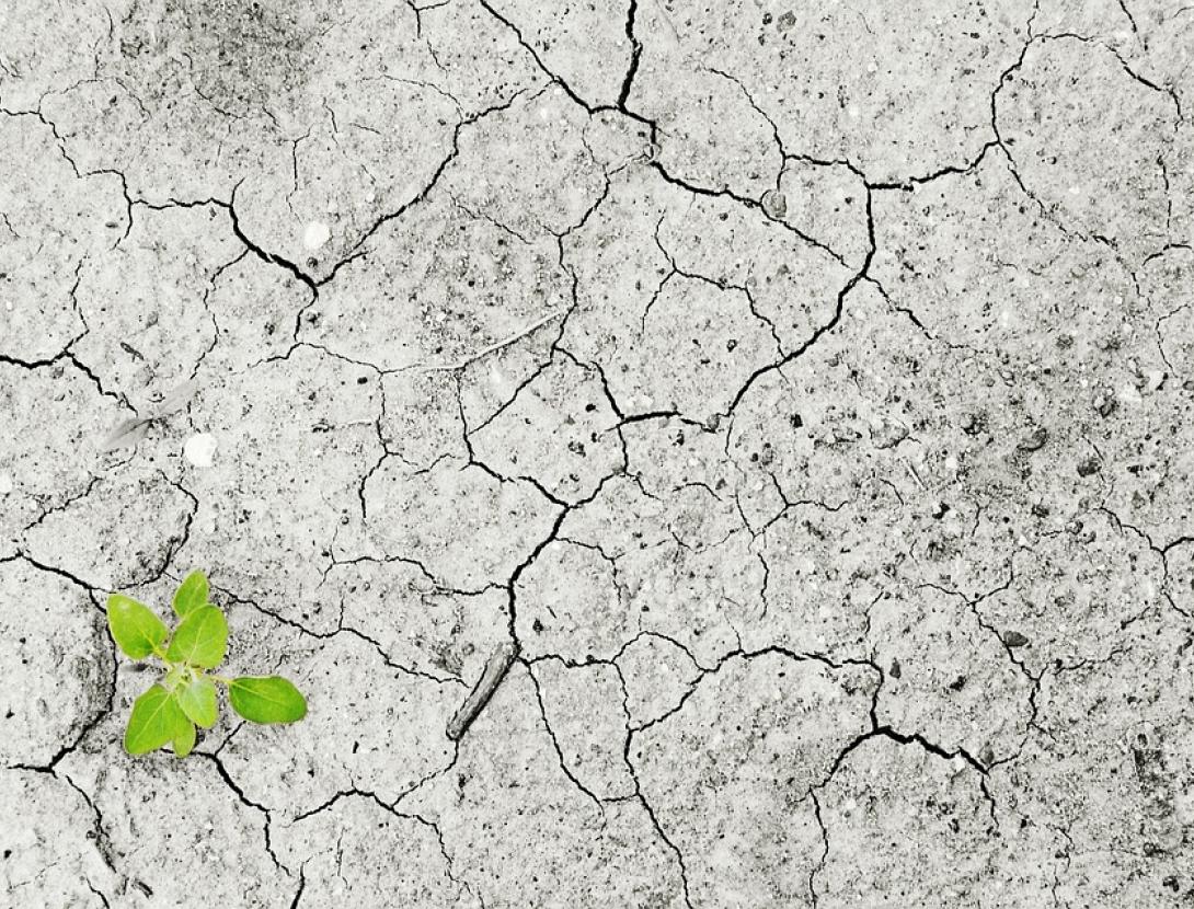 Experimentem el canvi!