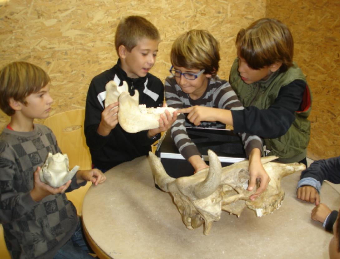 Visita guiada + Taller “Investigació oberta: neolític”