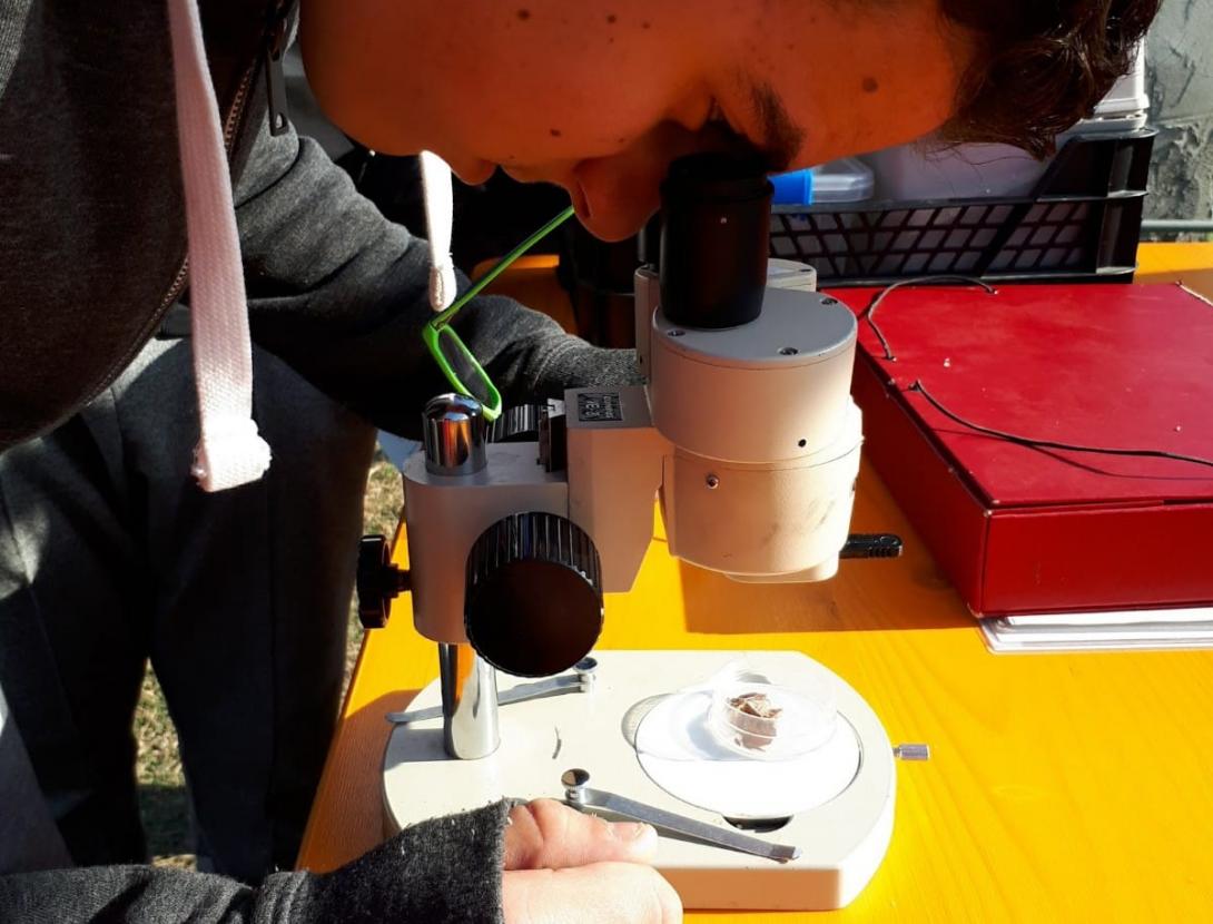 El Delta agrícola i natural a peu i en bici