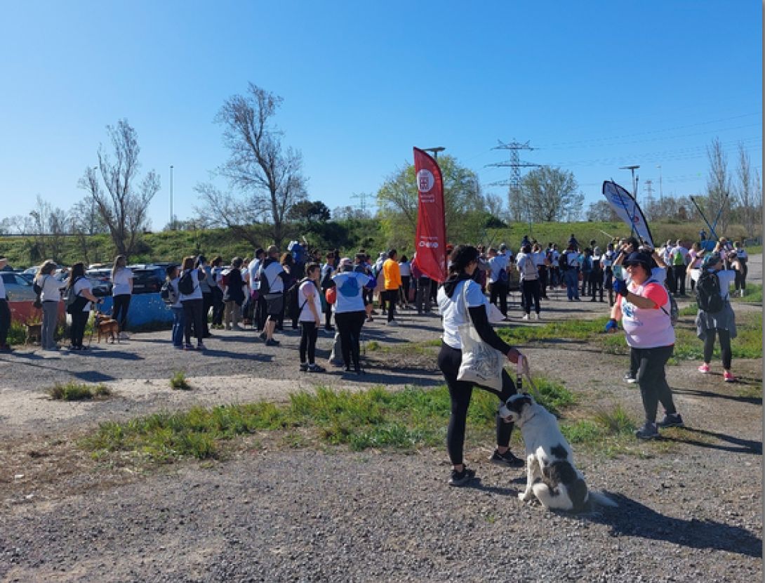 2a edició de l'ONCOMARXA