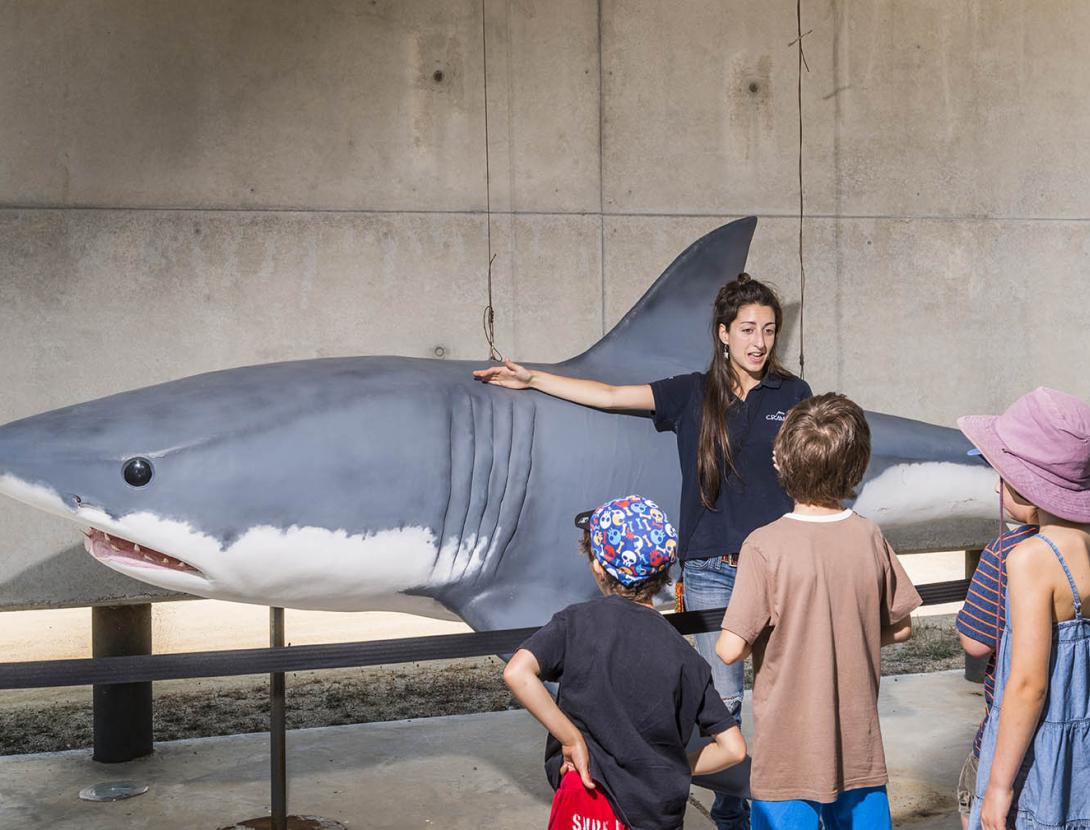 Descobreix la Costa del Delta del Llobregat