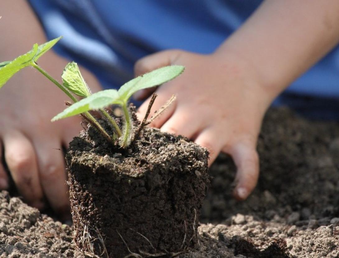 Hora del conte: L'hort de l'avi Rafael