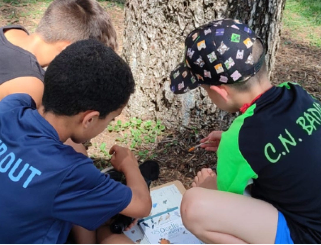 Jugateca del Parc Nou: 9è Bioblitz Metropolità. Ciència ciutadana