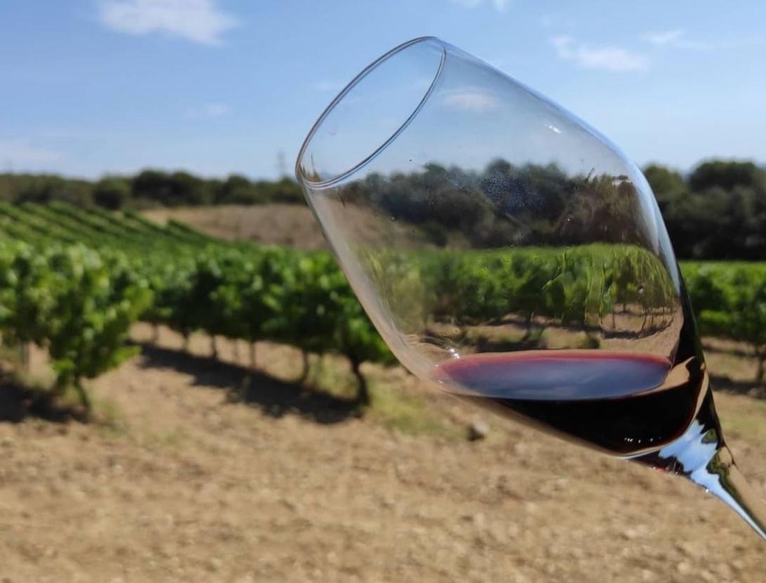 Connecta't amb la natura i el vi des de l'art