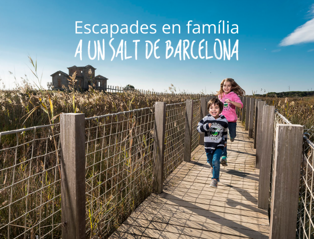 Cupons amb descompte