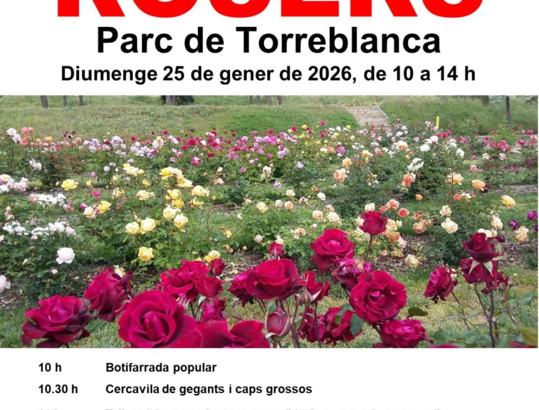 Plantada de rosers al parc Torreblanca
