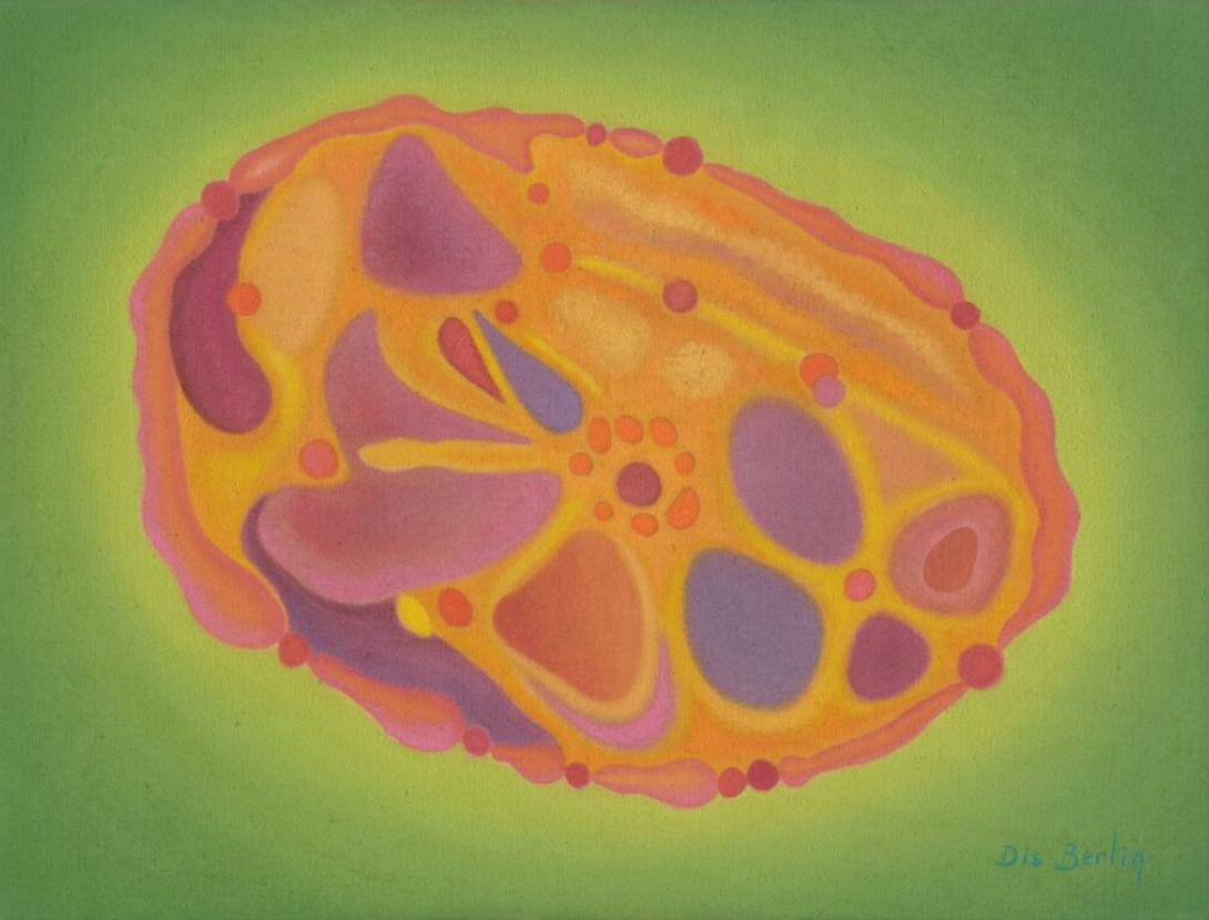 Visita guiada a l’Exposició “Metamorfosis infinita” de Dis Berlin