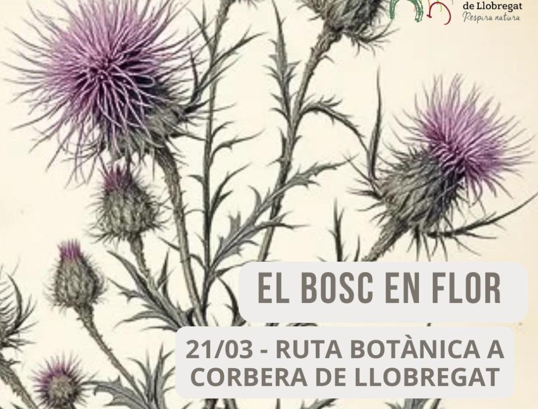 El Bosc en Flor - Ruta Botànica