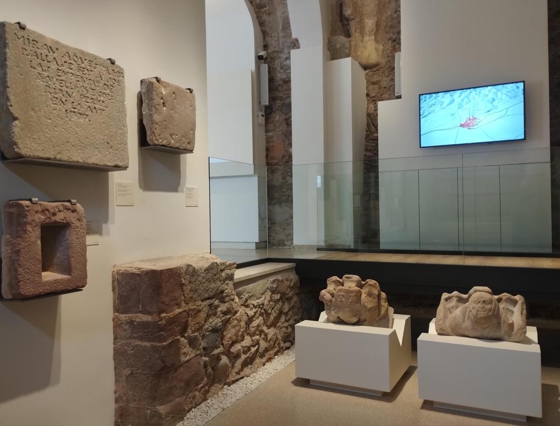 Visita guiada al Museu del Renaixement