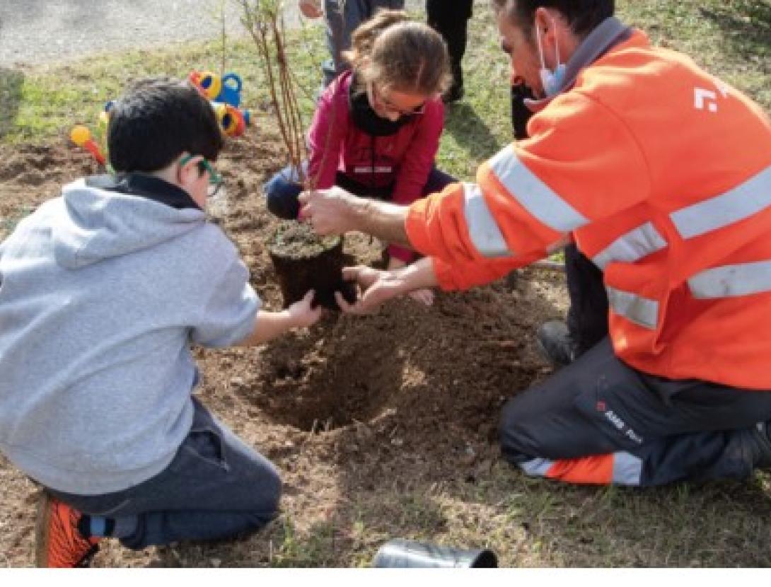 Jugateca del Parc del Riu: Millorem la vegetació del riu