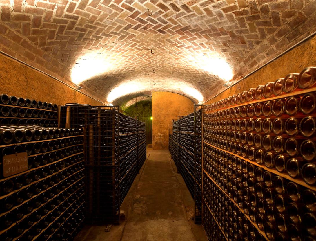 VISITA AL CELLER I MUSEU DEL VI RAMON CANALS