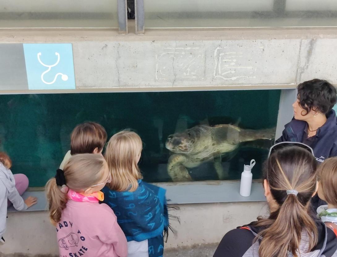 Realitzada la jornada de neteja de platja del Prat organitzada pel SostiBaix