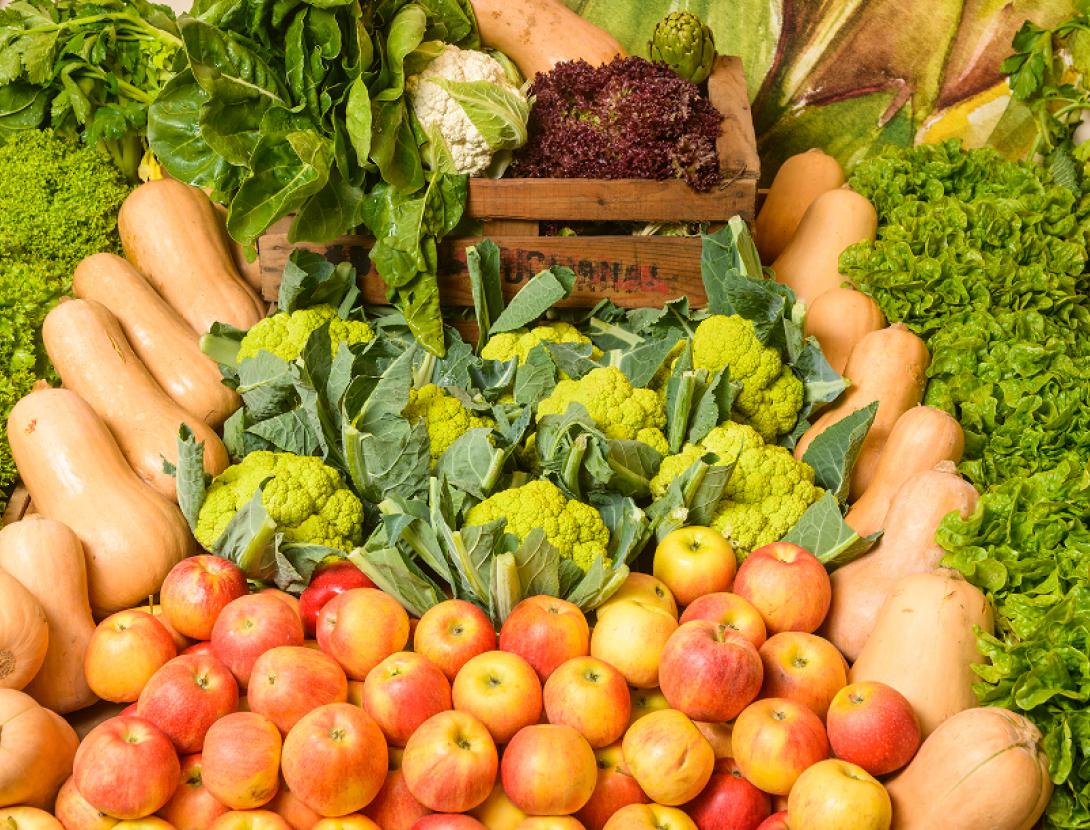 Fira de la Puríssima de Sant Boi