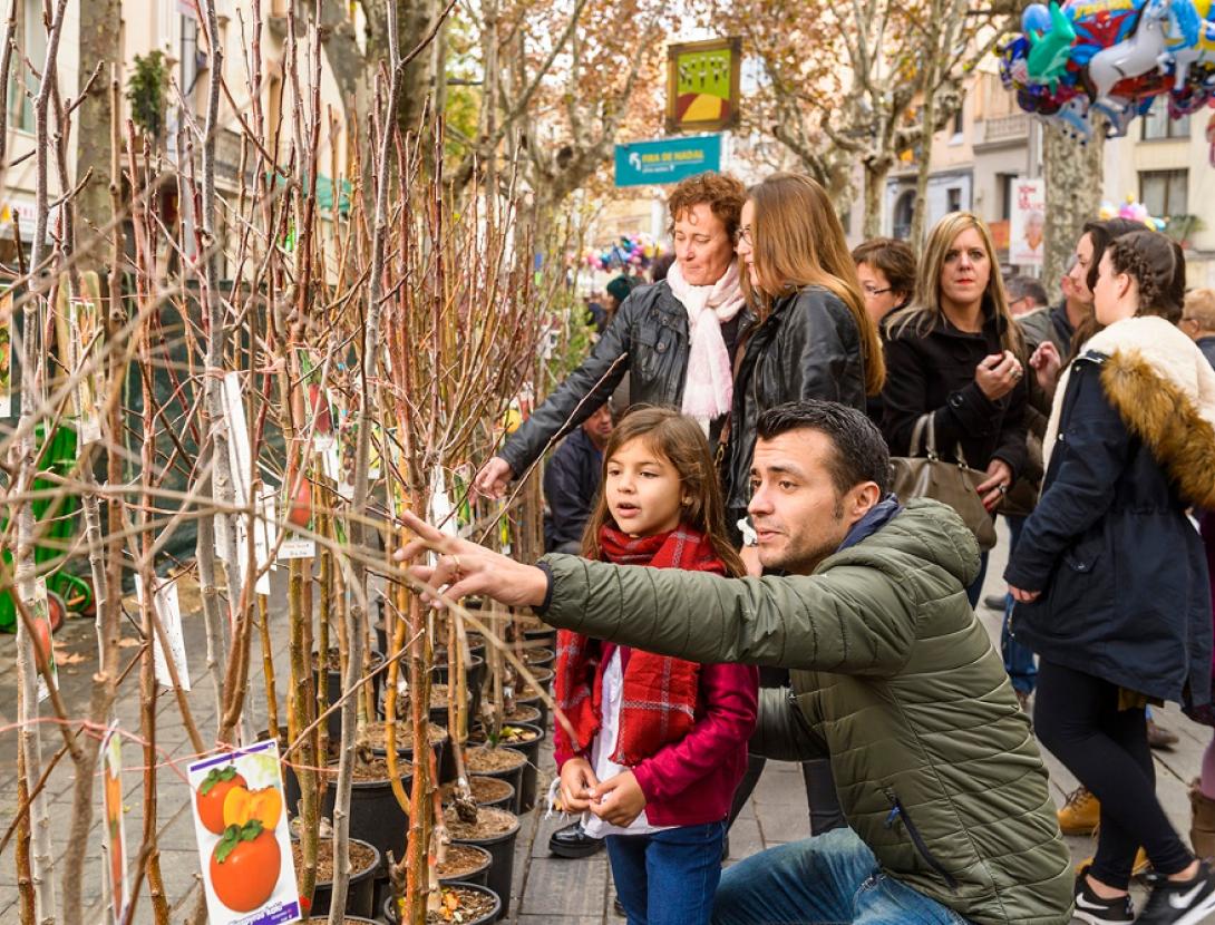 Fira de la Puríssima de Sant Boi