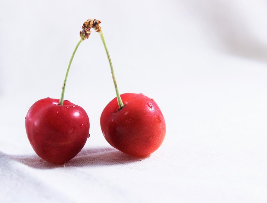 Festa de la Cirera del Papiol