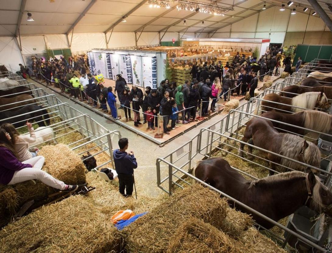 Fira Avícola Raça Prat al Prat de Llobregat